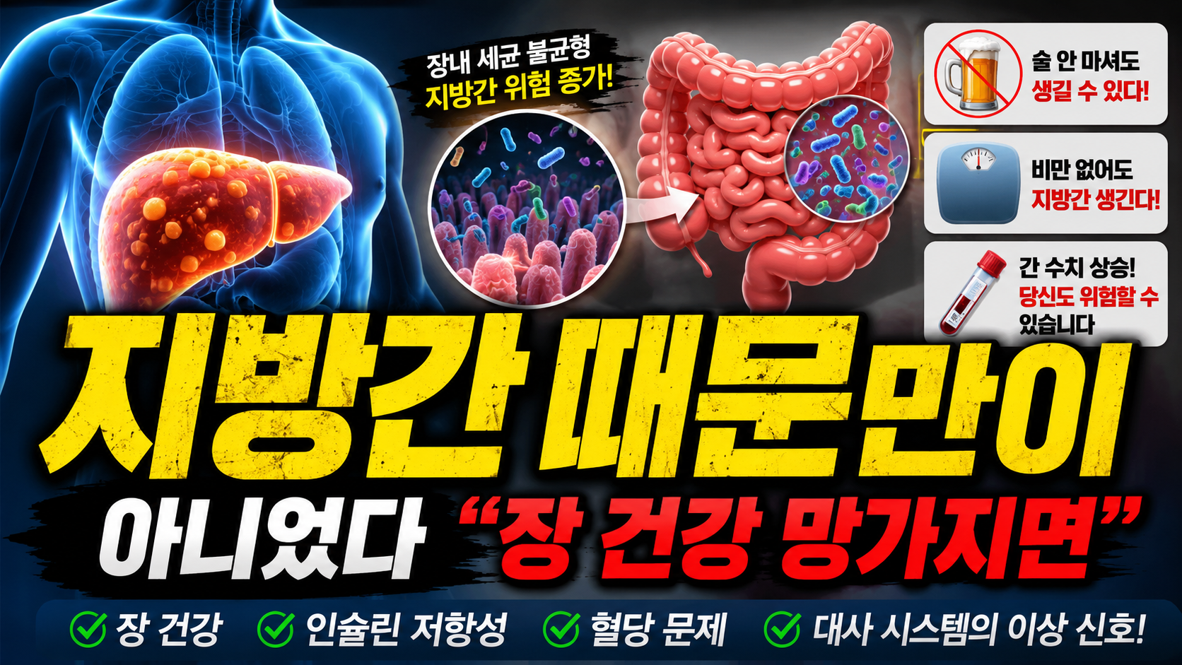 지방간, 술 때문만이 아니었다…“장 건강 망가지면 간에 지방이 쌓입니다”